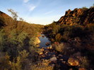 photo thumbnail #4