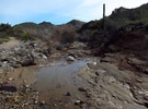 photo thumbnail #5