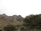 photo thumbnail #2