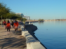 photo thumbnail #14