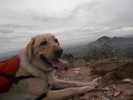 photo thumbnail #1