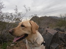 photo thumbnail #2