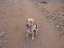 photo thumbnail #3