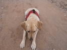 photo thumbnail #4