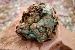 photo thumbnail #7