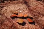 photo thumbnail #8