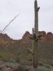 photo thumbnail #3