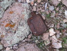 photo thumbnail #10