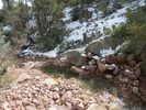 photo thumbnail #13