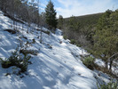 photo thumbnail #15