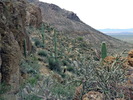 photo thumbnail #3
