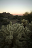 photo thumbnail #4
