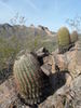 photo thumbnail #1