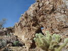 photo thumbnail #8