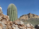 photo thumbnail #9