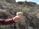 photo thumbnail #11