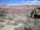 photo thumbnail #7