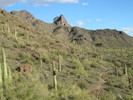 photo thumbnail #5