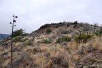 photo thumbnail #4