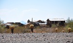 photo thumbnail #3