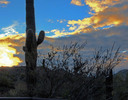 photo thumbnail #1