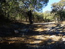 photo thumbnail #6