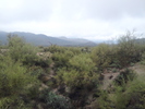 photo thumbnail #13