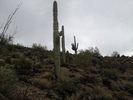 photo thumbnail #14