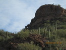 photo thumbnail #3