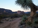 photo thumbnail #2