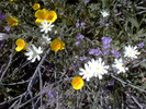 photo thumbnail #10