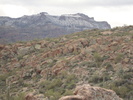 photo thumbnail #1