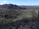 photo thumbnail #5