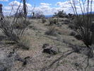 photo thumbnail #13