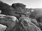 photo thumbnail #13