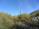 photo thumbnail #2