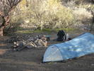 photo thumbnail #3
