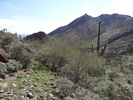 photo thumbnail #15