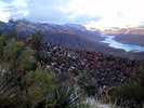 photo thumbnail #1