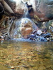 photo thumbnail #13