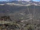 photo thumbnail #12