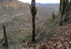 photo thumbnail #13