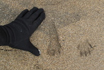 photo thumbnail #15