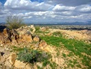 photo thumbnail #14