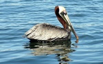 photo thumbnail #11