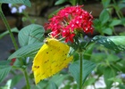 photo thumbnail #15