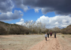 photo thumbnail #2