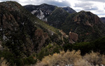 photo thumbnail #1