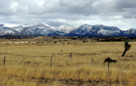 photo thumbnail #7