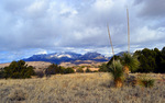 photo thumbnail #10